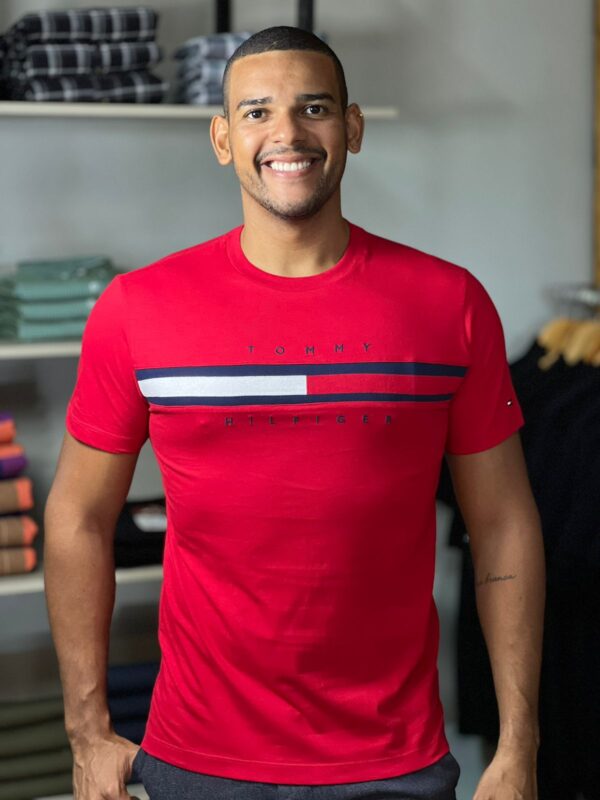 CAMISETA TOMMY HILFIGER RETILINEA